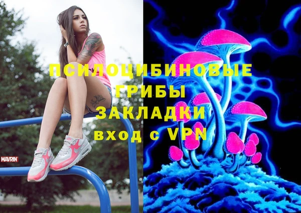 дмт Алексин