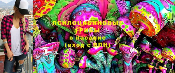 дмт Алексин